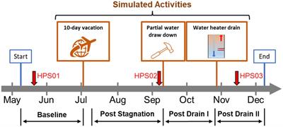 Assessing residential activity in a home plumbing system simulator: monitoring the occurrence and relationship of major opportunistic pathogens and phagocytic amoebas